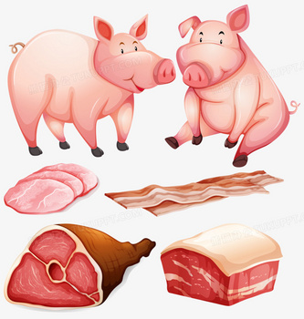 Симптомы и клиническое лечение желтой, белой и красной диареи у поросят