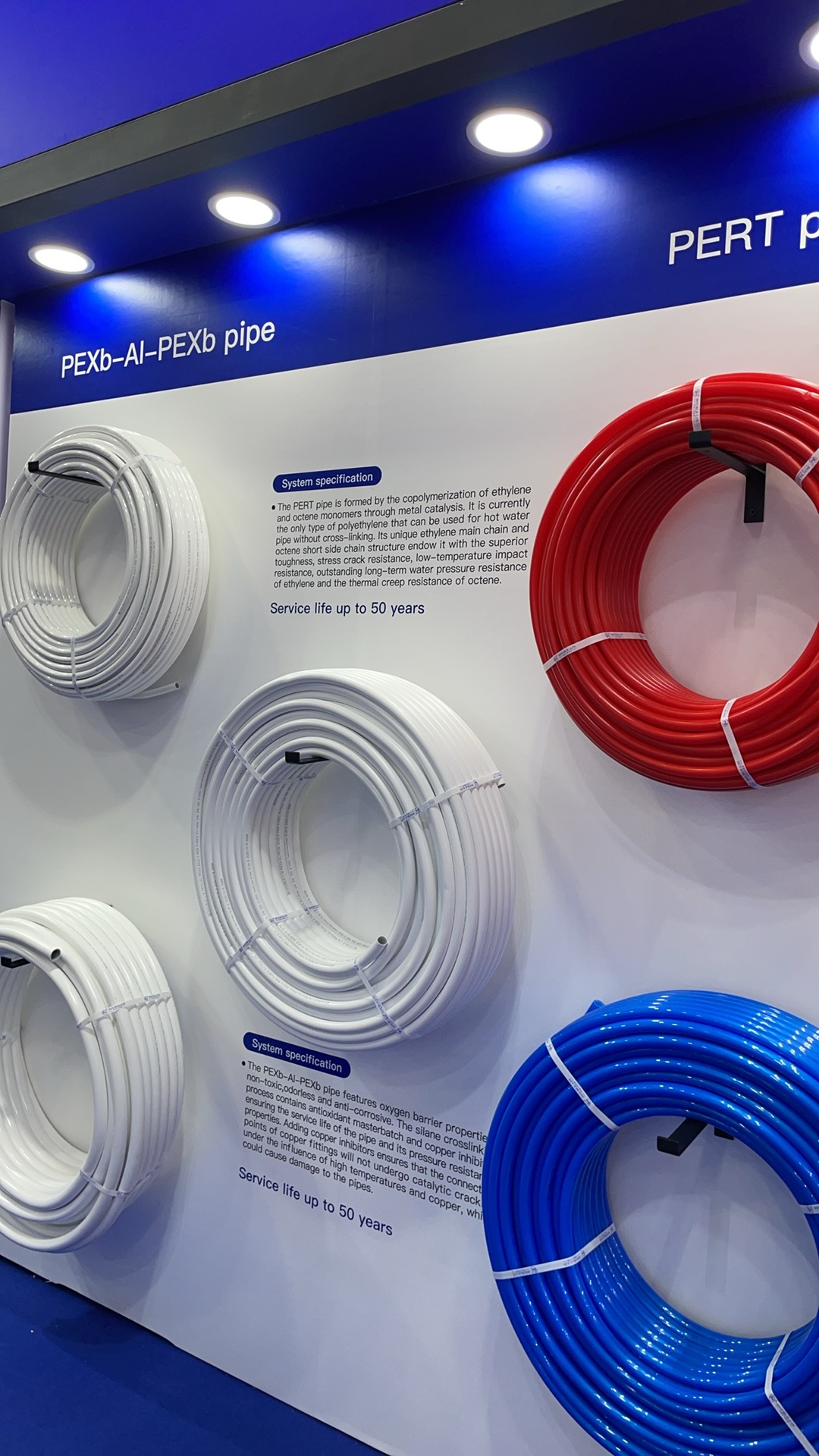 微信图片_20251101115444_446_3