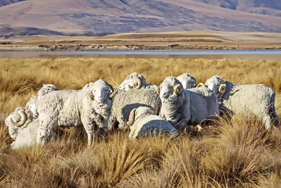 企业微信截图_1776048368836