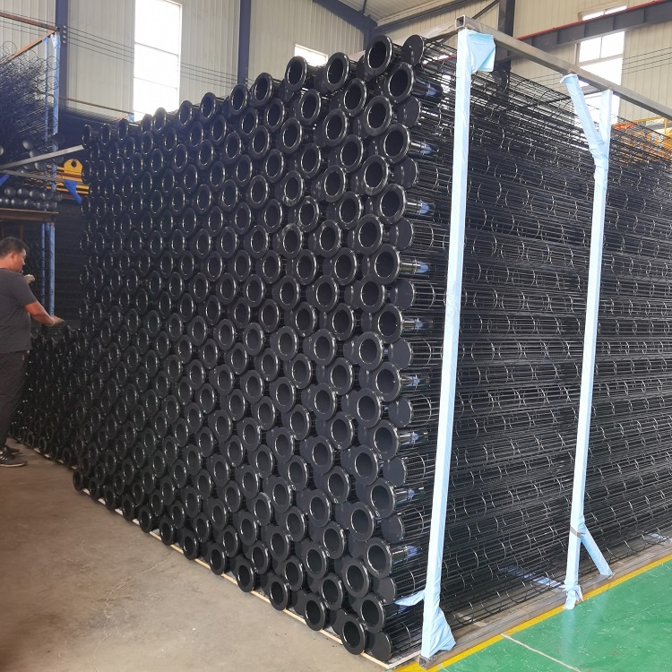 Текущий уход за пыльным скелетом