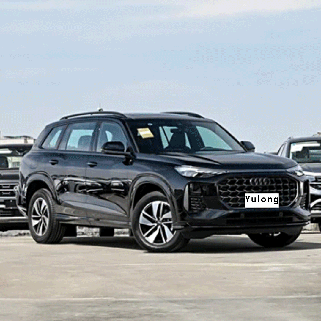 Audi Q6 2024 40 TFSI quattro Cloud Viewing Edition Пакет Flying Rider