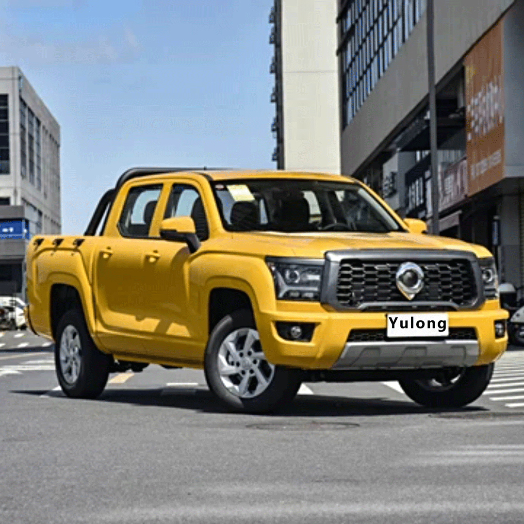 Great Wall_King Kong Cannon 2024 2.0T Manual Diesel Two-Wheel Drive Entrepreneurial Standard Box