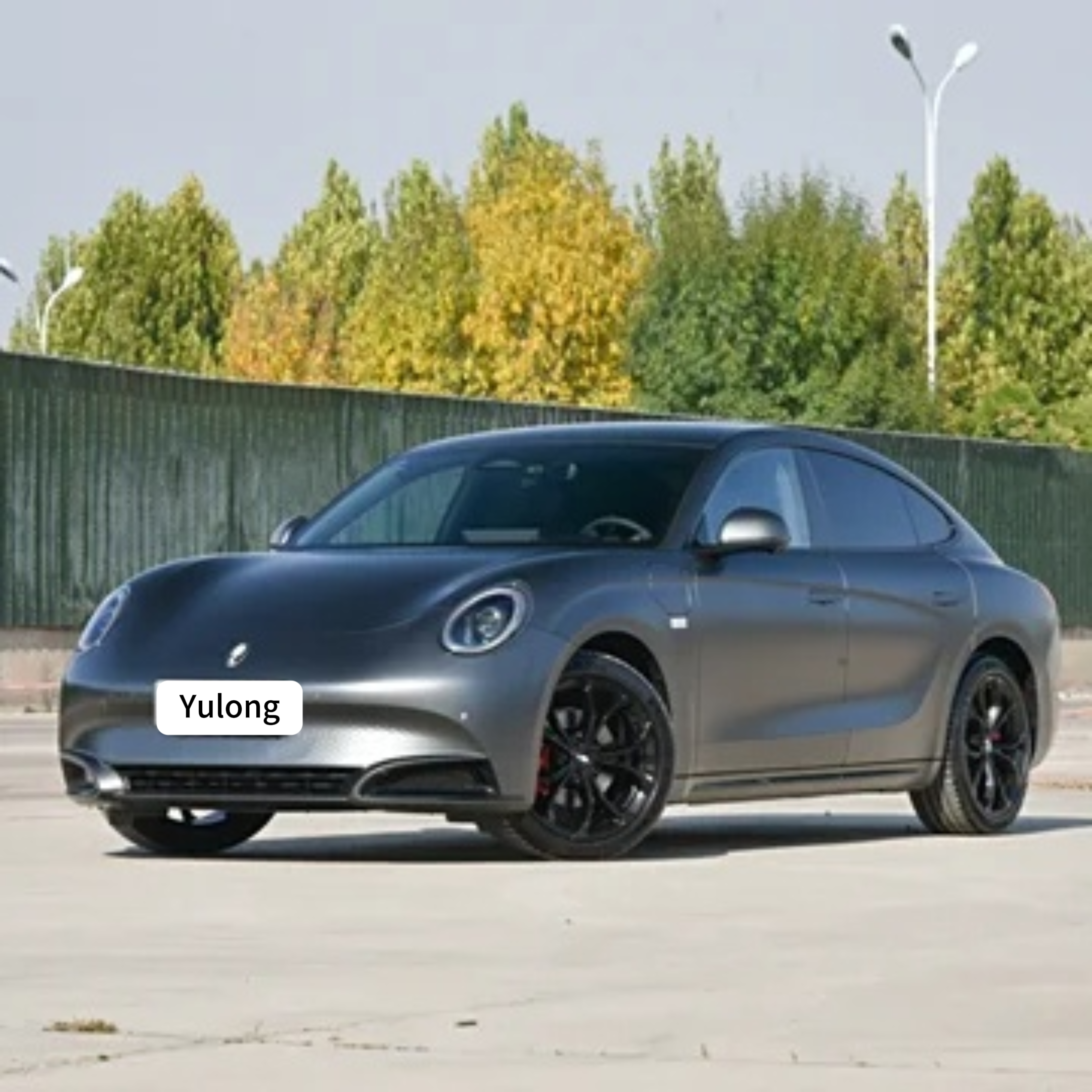 ORA Lightning Cat 2024 Dark Night Edition 555 км Премиум-версия