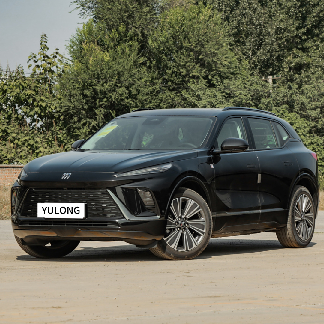 Bieke E5 Luxury 545km Series Электрический внедорожник Мини Новое Энергетическое Транспортное Средство