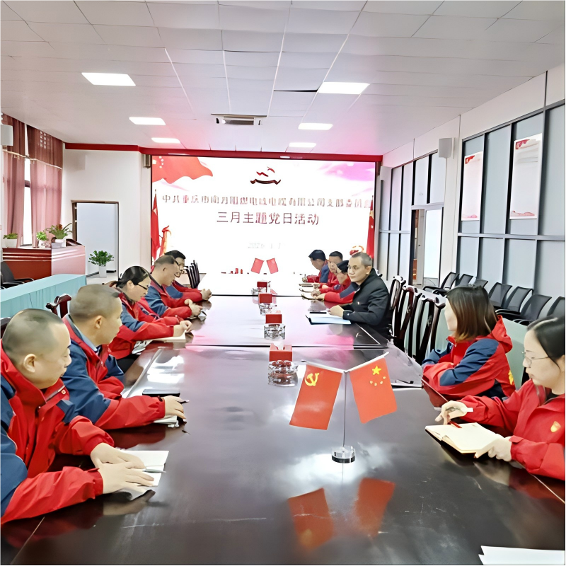Партийная ячейка ООО Чунцин Южные Огнеупорные Кабели и Провода провела тематическое мероприятие в рамках «Дня партийного строительства» за март