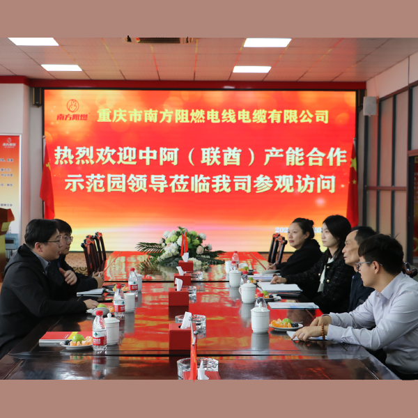 ООО Чунцин Южные Огнеупорные Кабели и Провода приглашены на выставку 2024 China Industrial Products Expo в рамках Пилотного парка производственной кооперации между Китаем и Арабской Республикой Египет