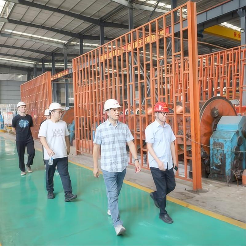 Горячо приветствуем Ванхуа Риэлти, посетившую с инспекцией индустриальный парк электрооборудования ООО Чунцин Южные Огнеупорные Кабели и Провода.