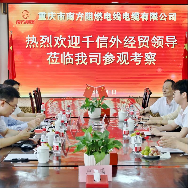 Горячо приветствуем руководство Chongqing Qianxin Foreign Economic and Trade Group в ООО Чунцин Южные Огнеупорные Кабели и Провода