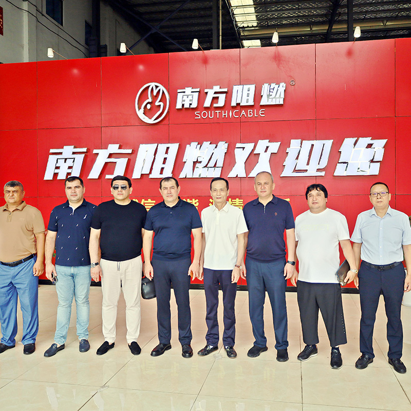 Объединение усилий: Делегация из Узбекистана посетила чунцинскую кабельную компанию для совместного изучения будущего «зеленой» энергетики.