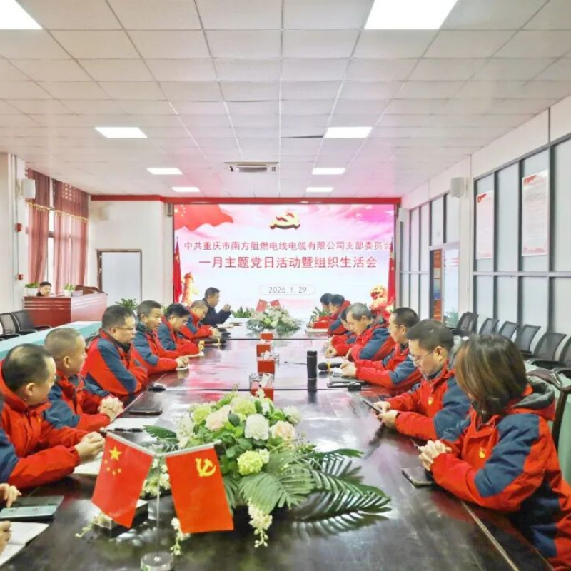 ООО Чунцин Южные Огнеупорные Кабели и Провода Партийная ячейка успешно провела тематическое мероприятие в рамках Дня партии за январь 2026 года