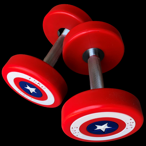 Гиря XZ-007 с дизайном щита