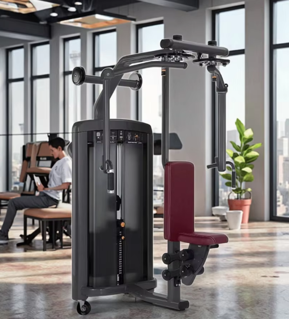 Кортикальный и спинной мышцы бабочек: тщательно огранённые грудные мышцы