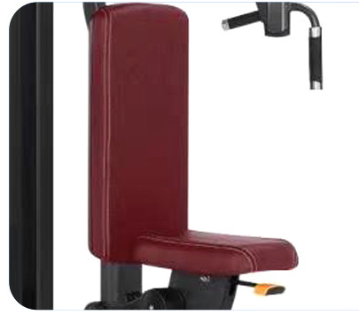 Кортикальный и спинной мышцы бабочек: тщательно огранённые грудные мышцы