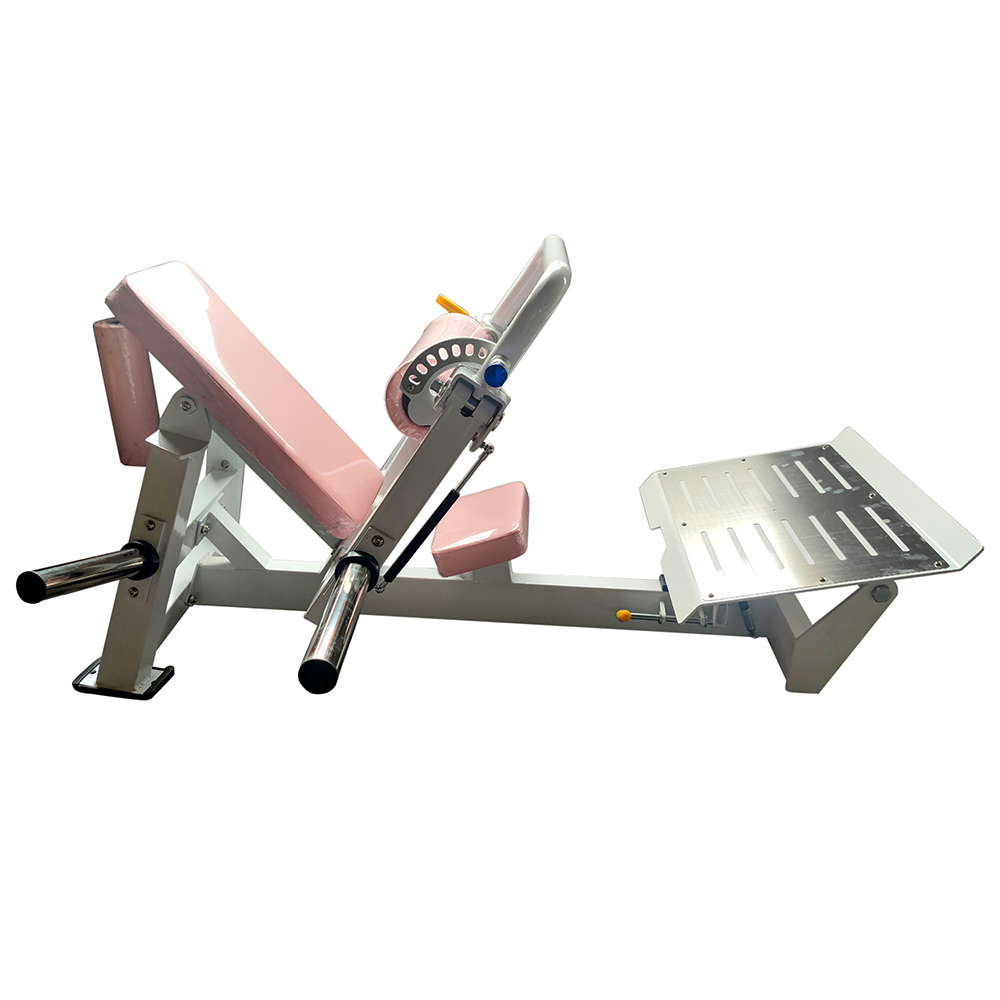 Профессиональный тренажер для гиперэкстензии тазобедренного сустава Xinzhen