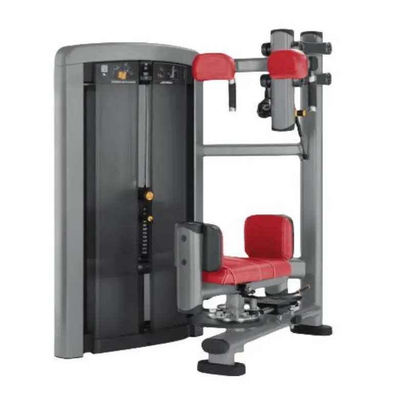 Тренажер для поворота туловища: тренировка ключевых мышц поворота ядра