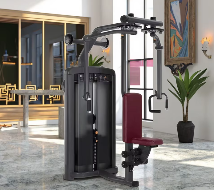 Кортикальный и спинной мышцы бабочек: тщательно огранённые грудные мышцы