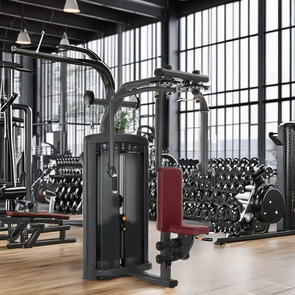 Кортикальный и спинной мышцы бабочек: тщательно огранённые грудные мышцы