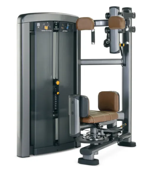 Тренажер для поворота туловища: тренировка ключевых мышц поворота ядра