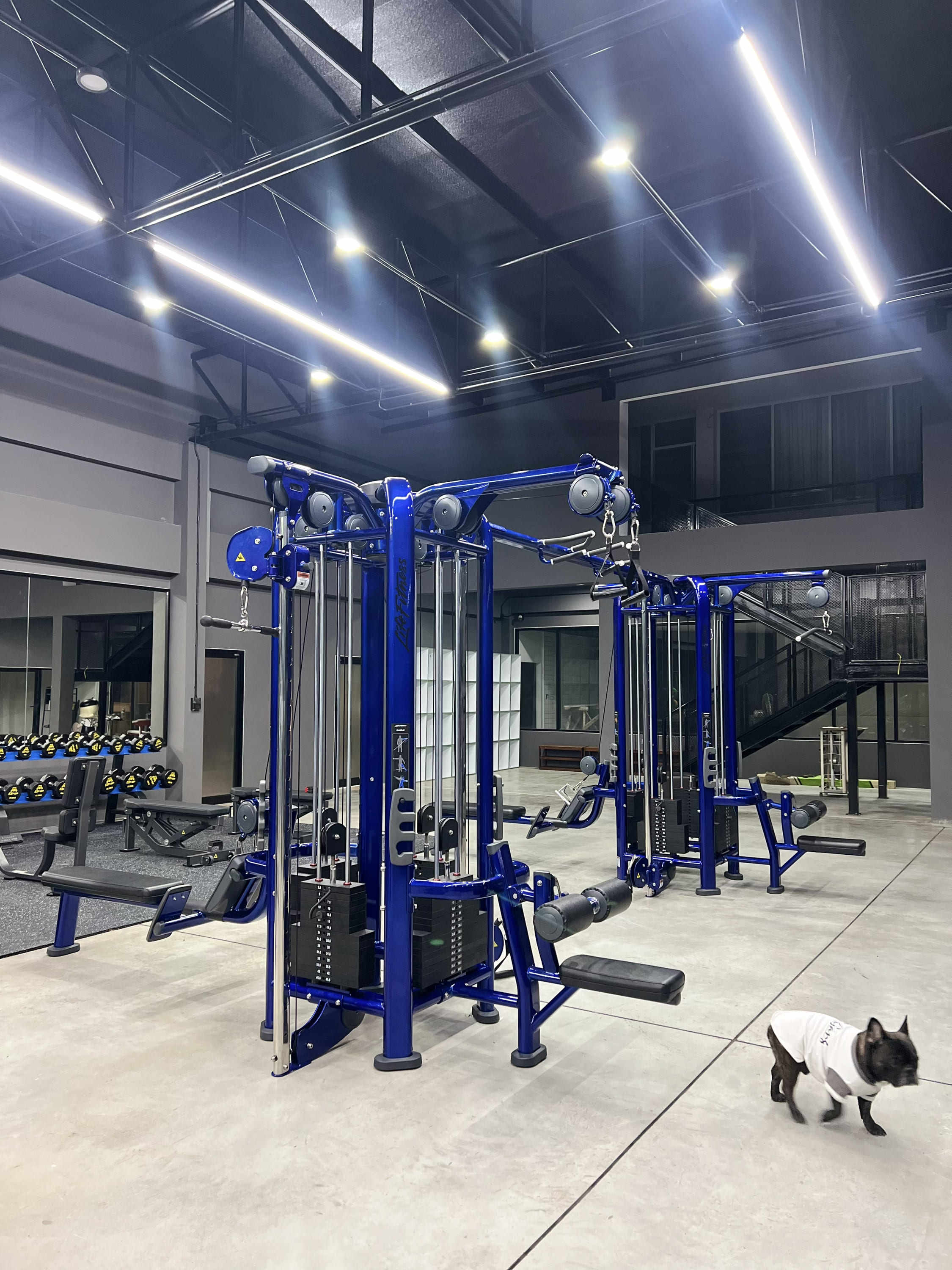 Комплексный тренажер восьмизонный : тренировки разных групп мышц несколькими людьми одновременно