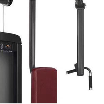 Кортикальный и спинной мышцы бабочек: тщательно огранённые грудные мышцы