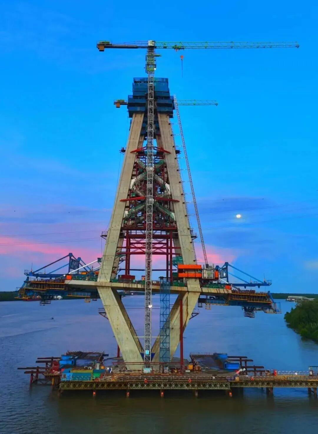 Башенные краны Zoomlion на площадке