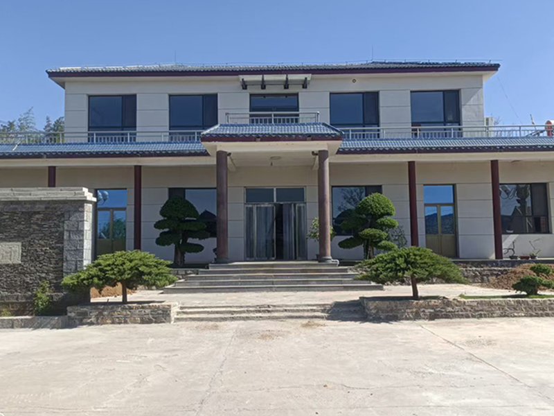 11