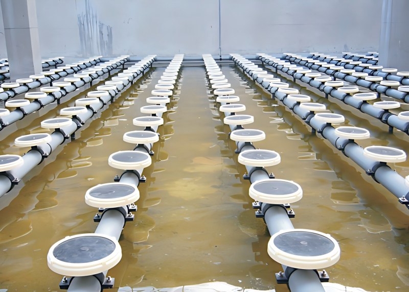 Новости49 (2)