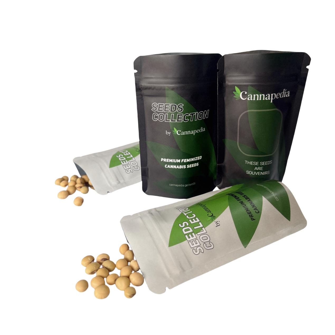 В чём разница между пакетом с устойчивым дном и пакетом с плоским дном?