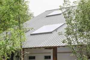 Осенний пейзаж кольцевого экопарка с красочными деревьями и извилистыми тропами