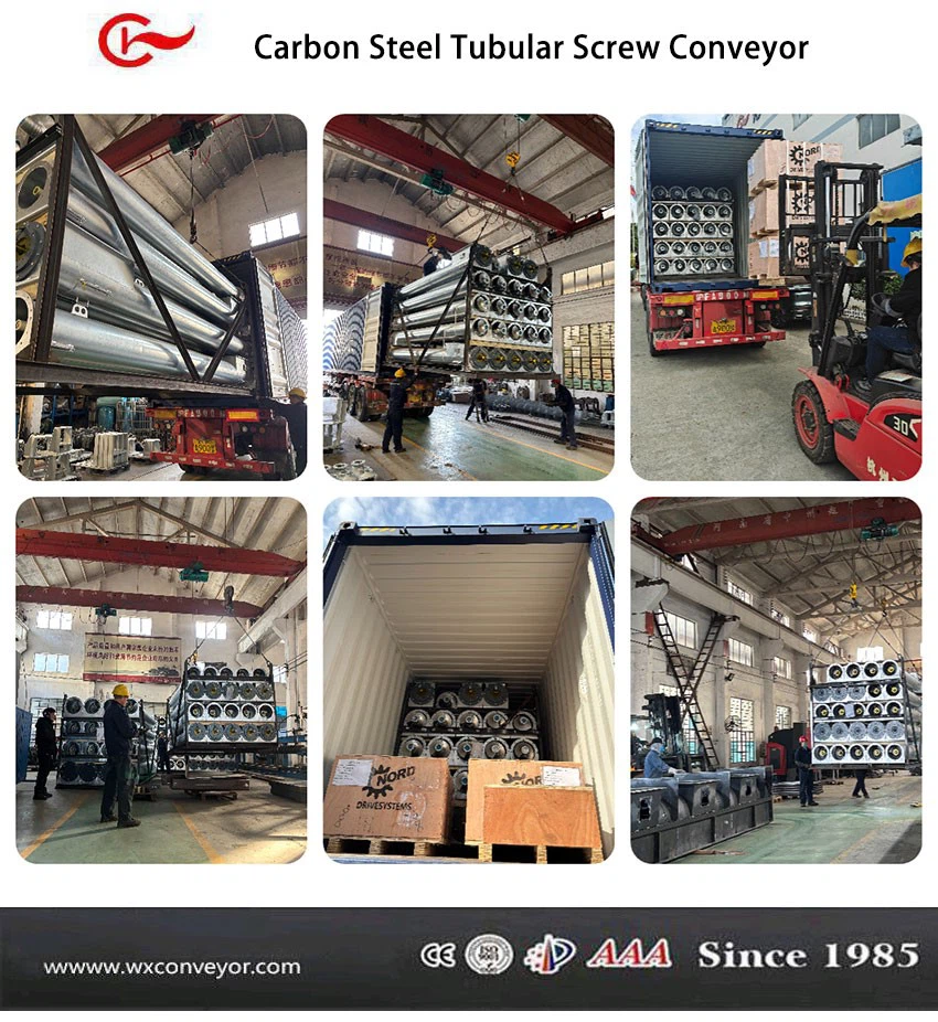 p20251219100749900ea