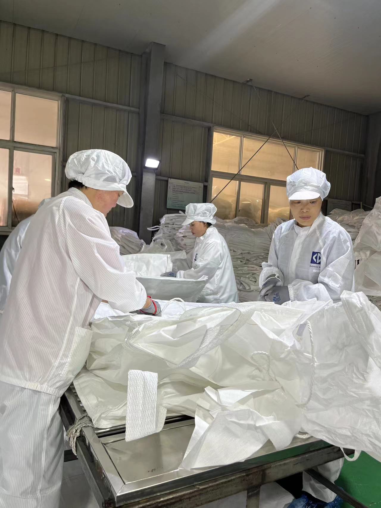 big bag inspection (2)