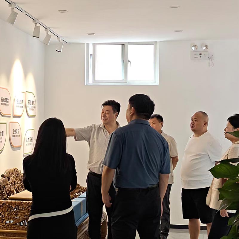 Визит в Шанхай: особое внимание будет уделено серии солнечных сердечников (пленок) размером 9,38 мкм, открывающих новые горизонты в области медицинских технологий.