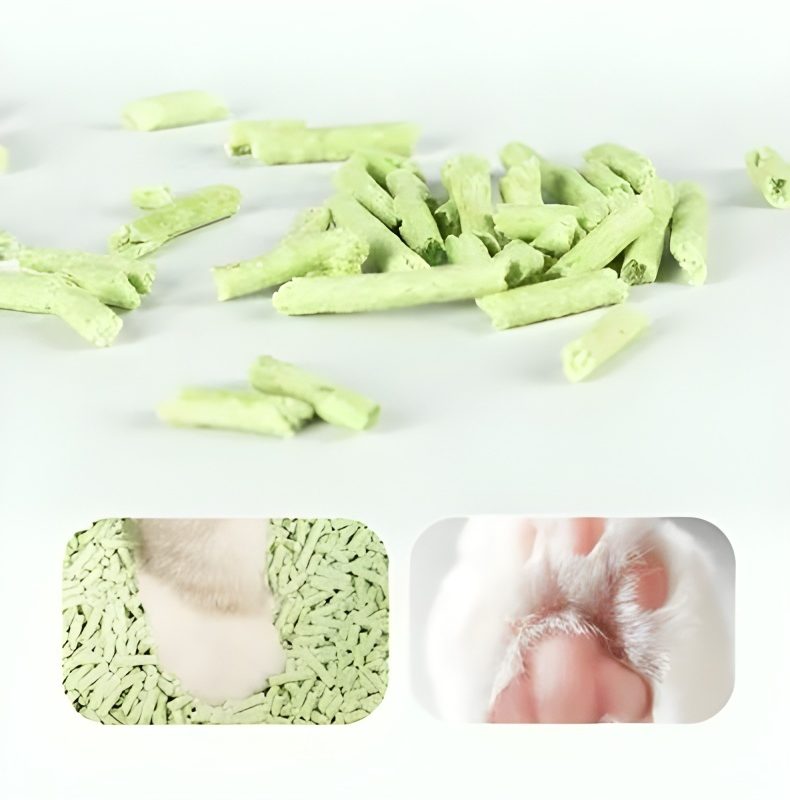 绿茶10