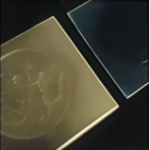 1658a4336eb0333292e5436482f45528