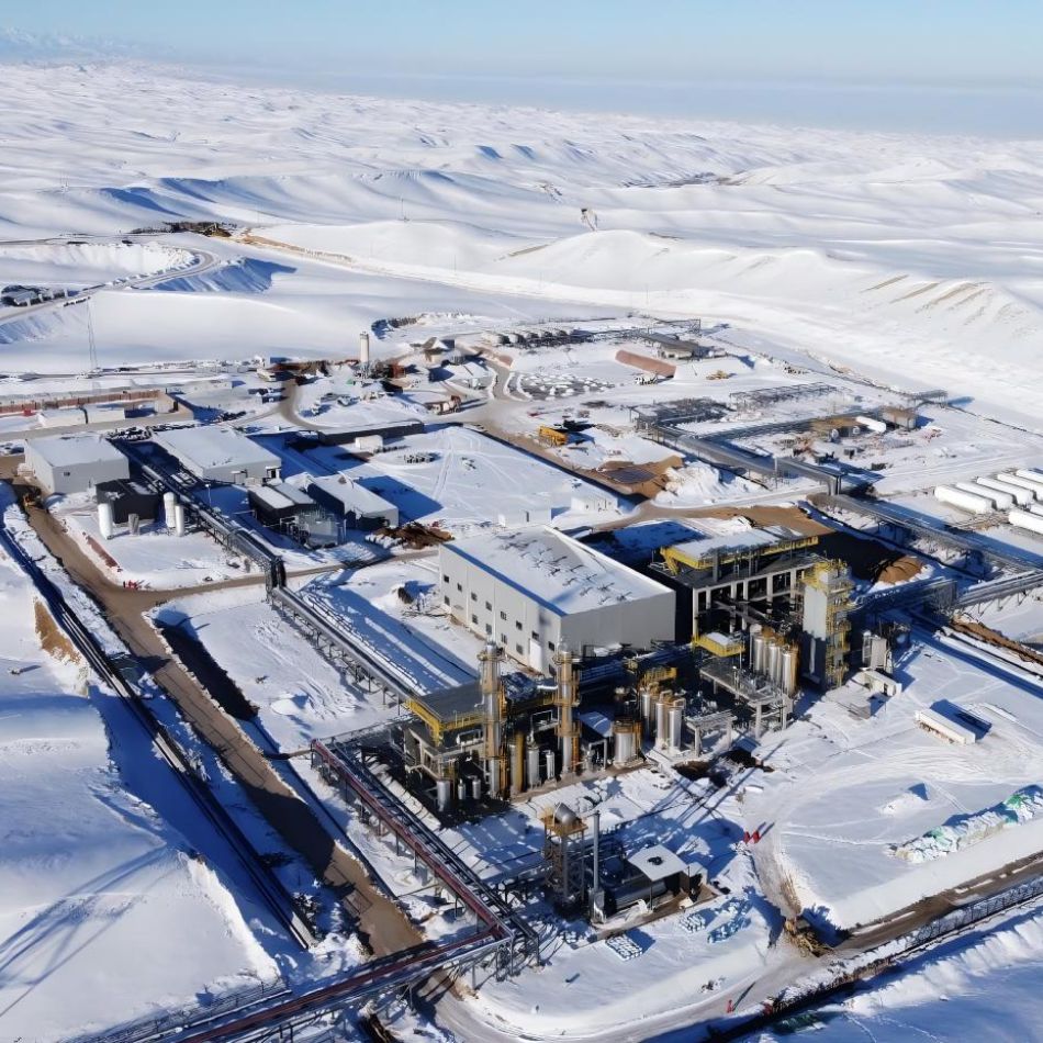 Как влияет устройство десульфурации на экосистемы?