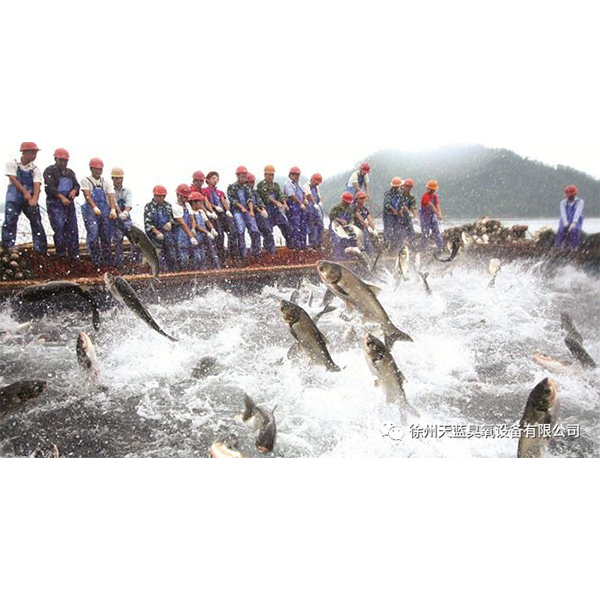 Роль озона в аквакультуре