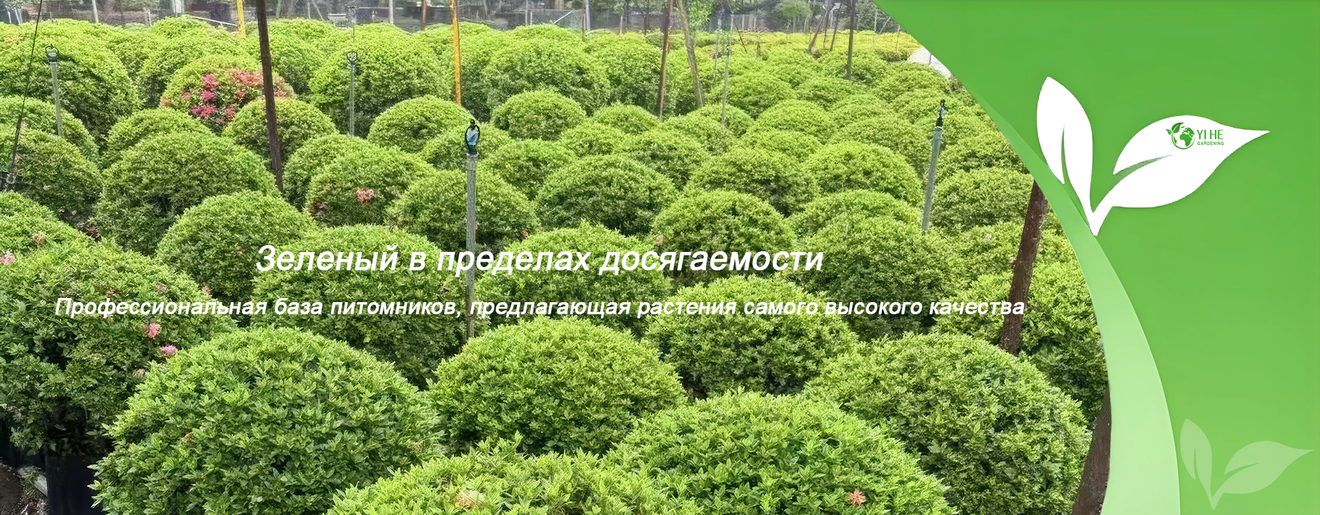 Spherical nursery