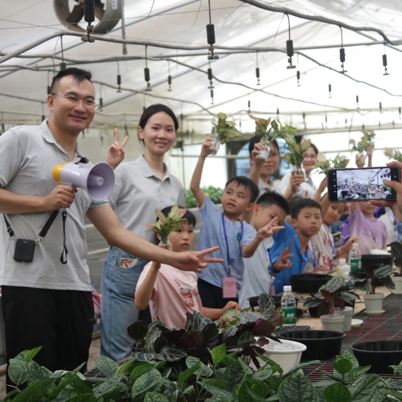 Foshan Youngplants | Летний семинар вдохновляет молодые умы на практическое знакомство с культурой тканей растений и размножением 2 августа 2024 года