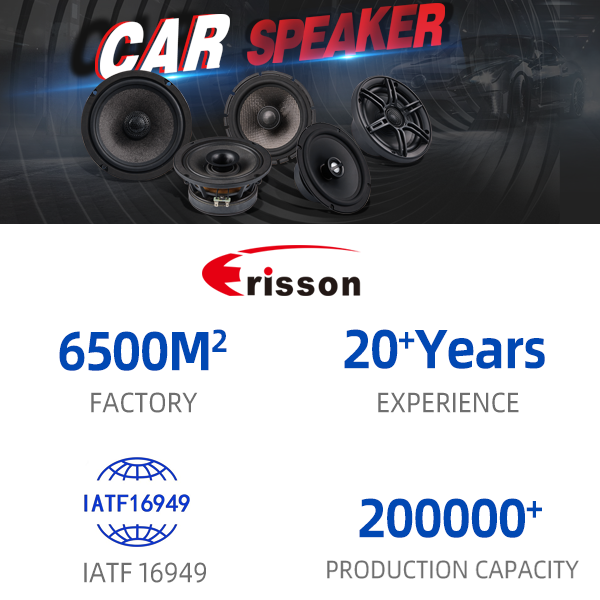 Об ERISSON
