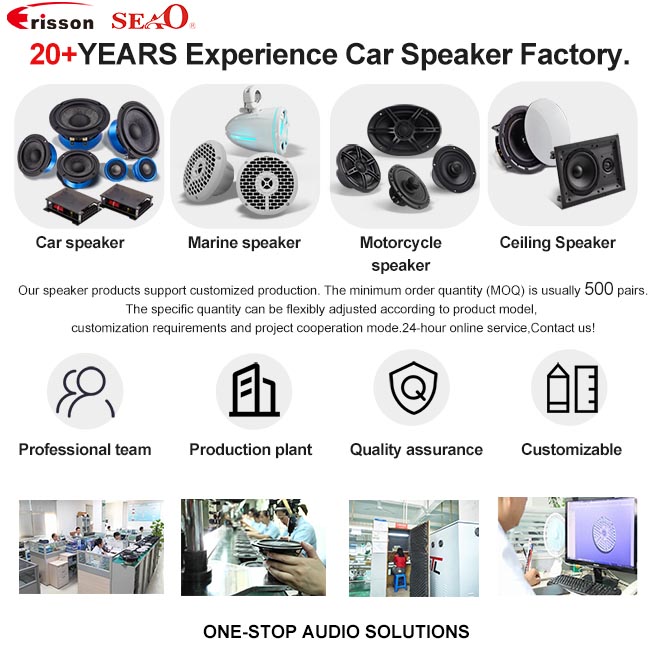 Коаксиальный динамик 6×9 4 Ом 200 Вт от производителя для автодвери