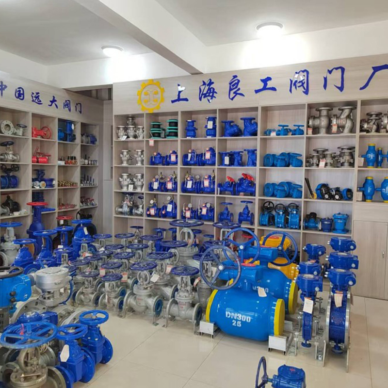 Введение в 15-ю годовщину проведения общего собрания партийного отделения компании Gansu Suwei Valve Co., Ltd. в 2025 году