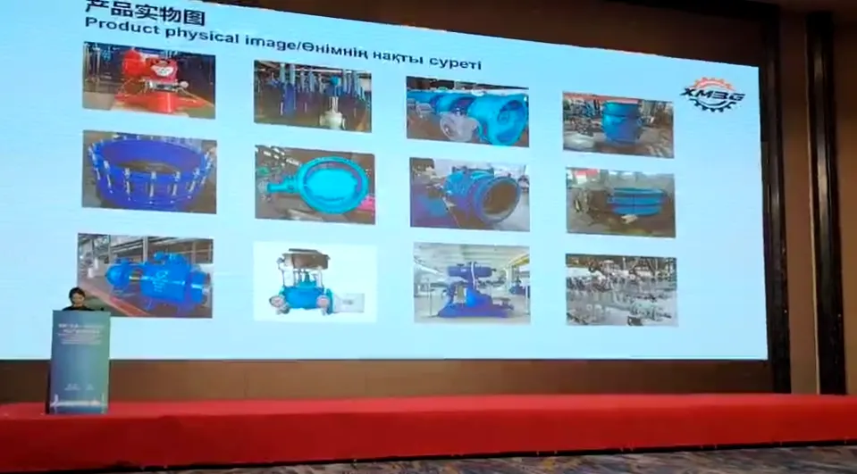 В центре внимания инициатива «Один пояс, один путь» (6)