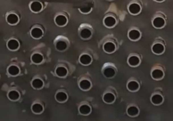 xinwen1 (2) xinwen1 (2)