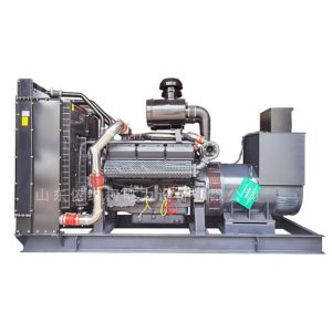 Высокое качество 1000 КВт дизель-генератор завод