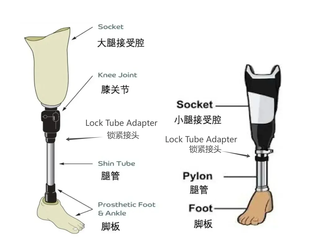 двухскоростной пневматический коленный сустав